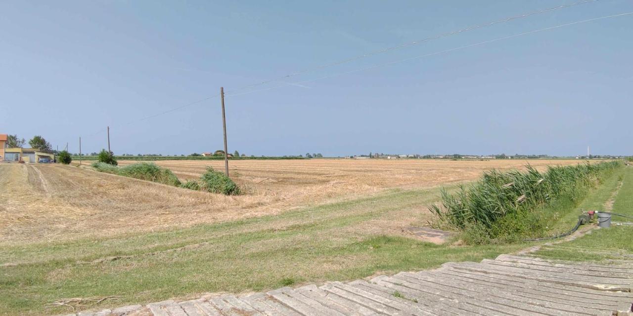 Agriturismo La Fraterna Tolle 외부 사진